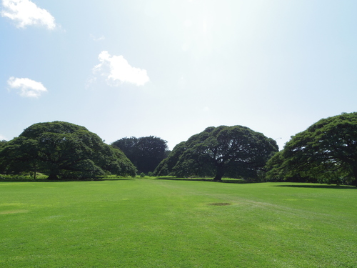 f0039446_10222996.jpg