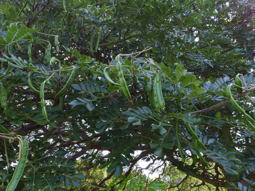 f0039446_1023764.jpg