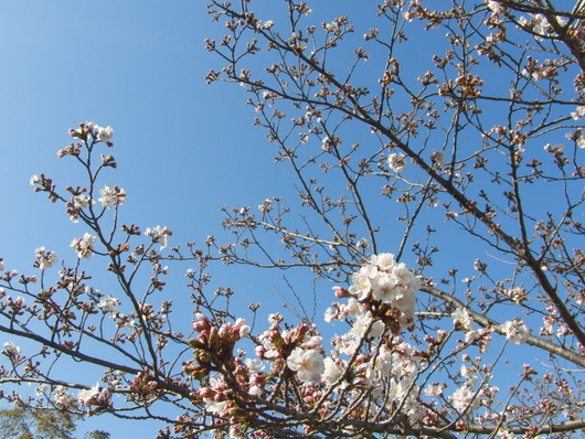 b0254548_944444.jpg