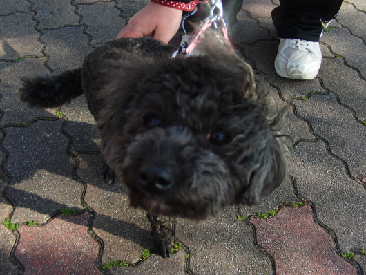 b0254548_950082.jpg