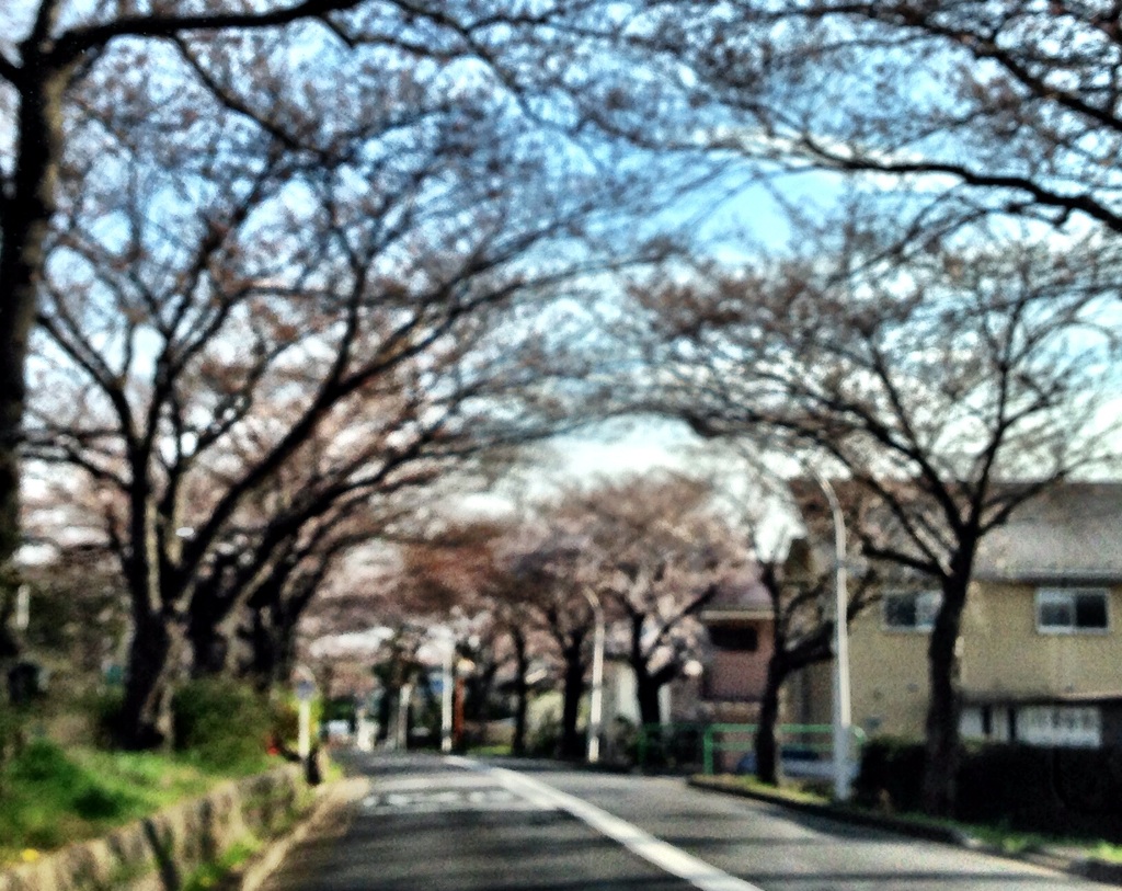 b0181457_17244169.jpg