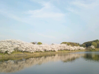 a0271962_2217870.jpg