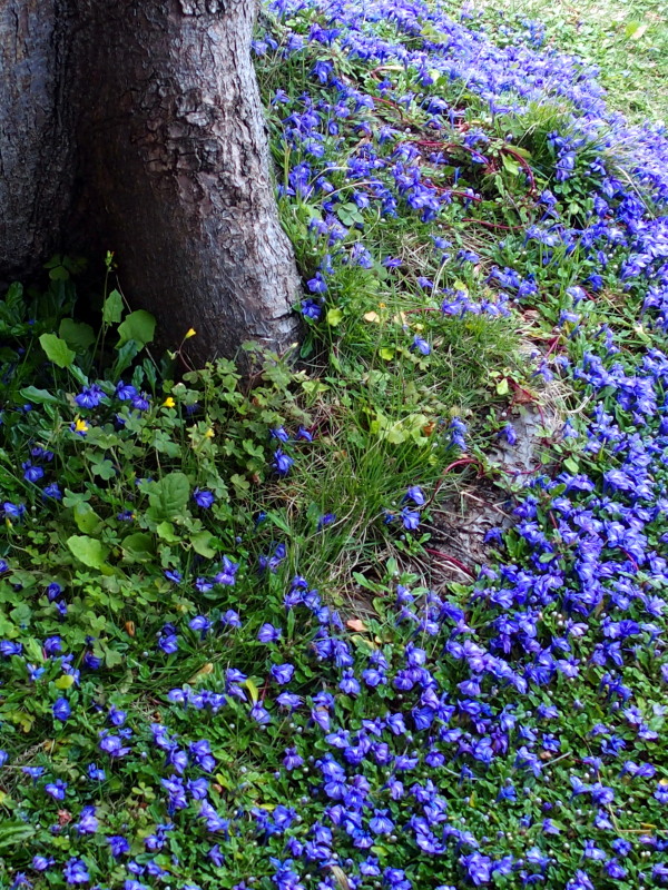 c0122670_00450647.jpg
