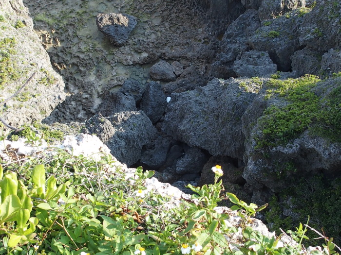 c0122670_02150949.jpg