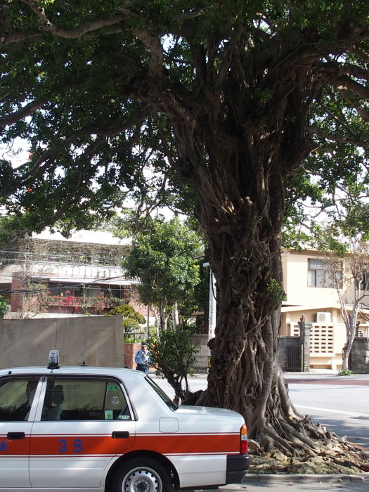 c0122670_09591898.jpg