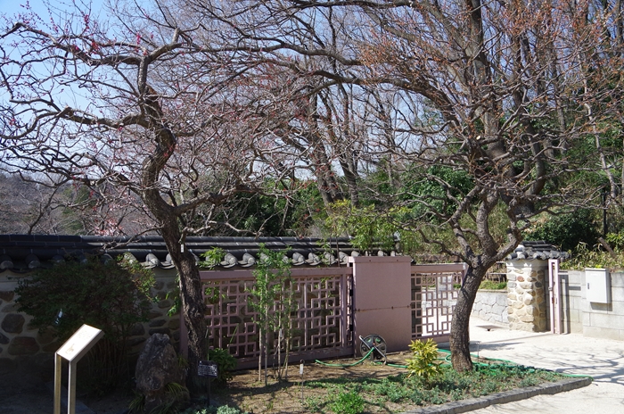 d0031171_8264282.jpg