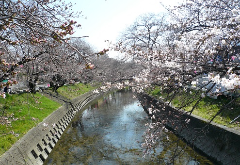 a0307675_2242038.jpg