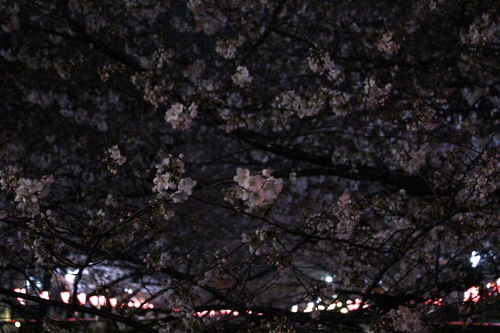 e0275478_19351459.jpg