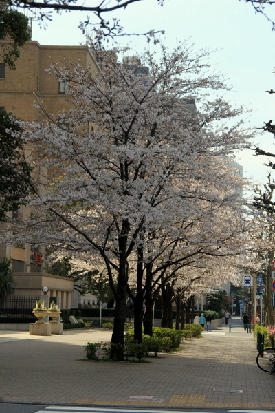 e0318883_20111212.jpg