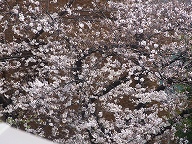 c0238586_20222546.jpg