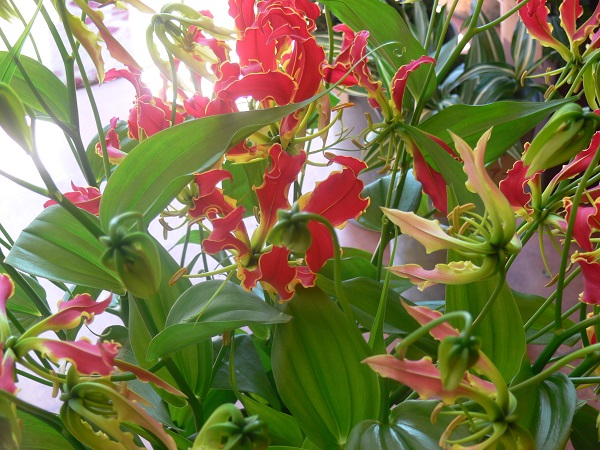 e0140986_11161029.jpg