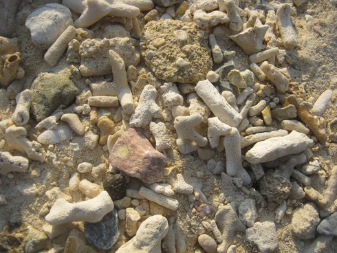 a0034487_2052591.jpg