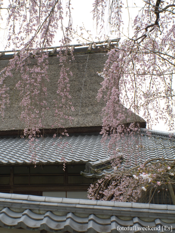 b0138101_14461887.jpg