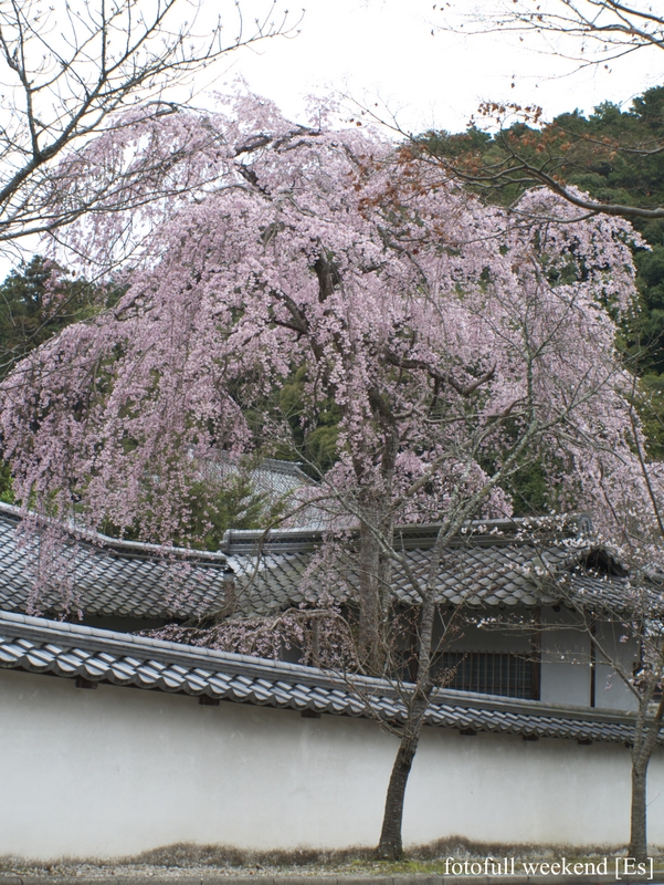 b0138101_14464657.jpg
