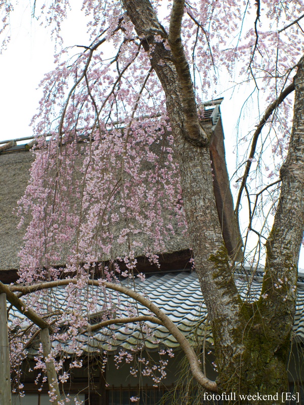 b0138101_1446870.jpg