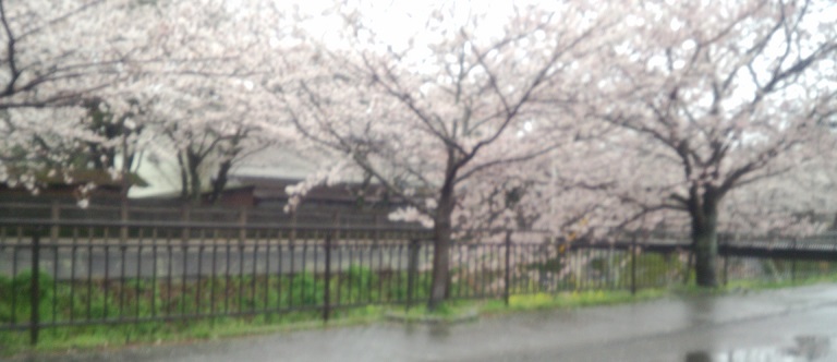 e0255102_20104958.jpg