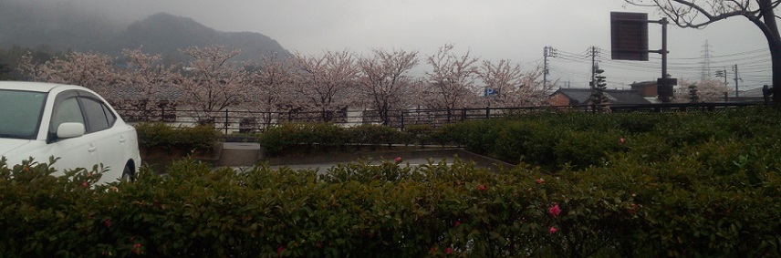 e0255102_2011837.jpg