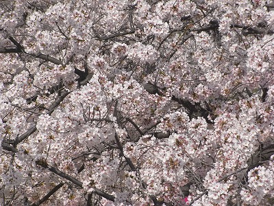 f0187402_18142149.jpg