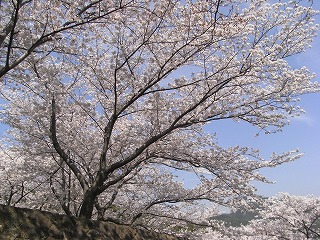f0187402_18145138.jpg