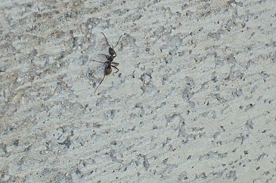 a0214206_160543.jpg