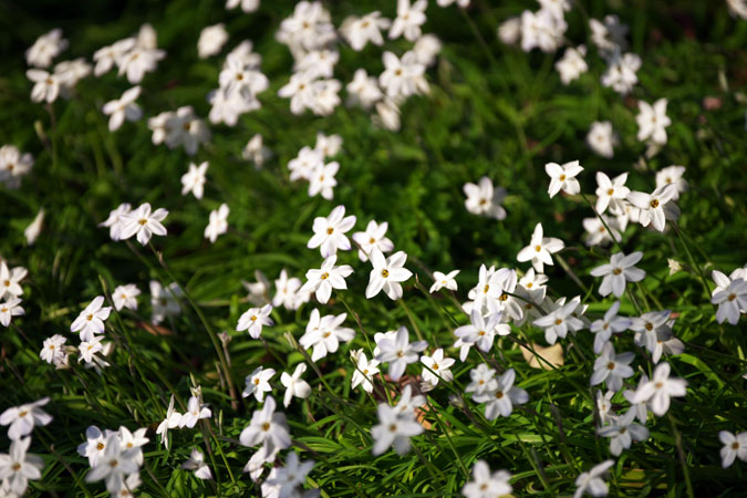a0263109_1521036.jpg