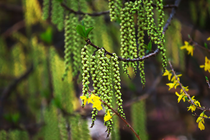 a0263109_1521589.jpg
