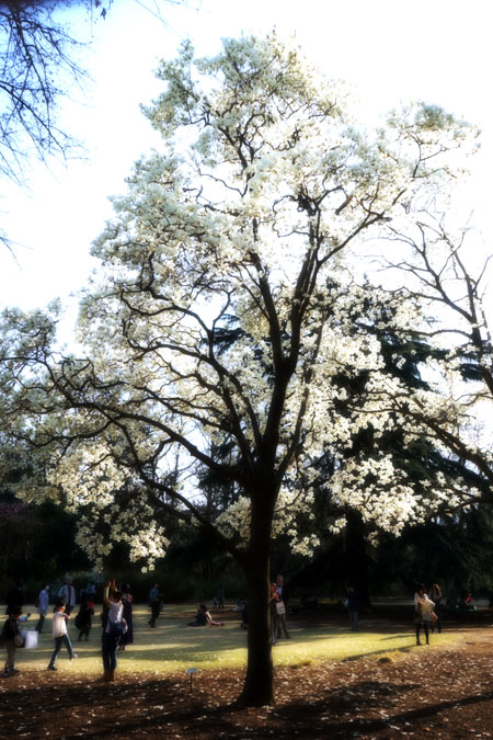a0263109_1523999.jpg