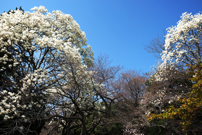 a0263109_8505020.jpg