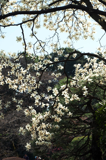 a0263109_8514114.jpg