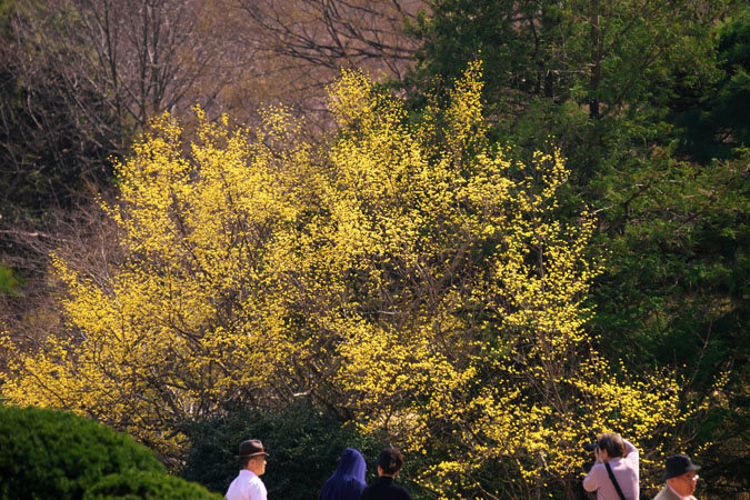 a0263109_8524759.jpg