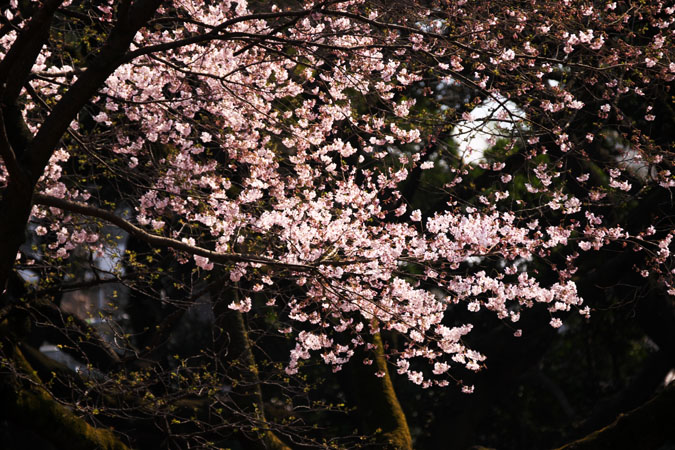 a0263109_8544179.jpg