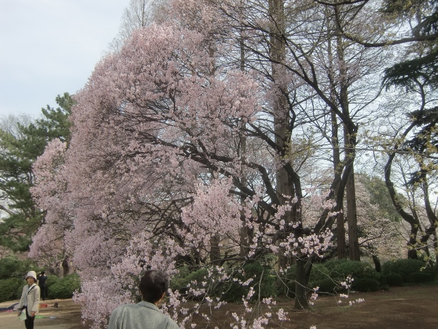 f0231709_035444.jpg