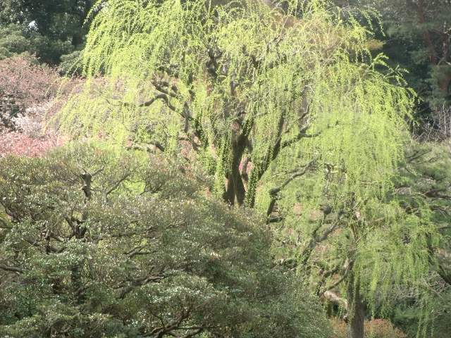 f0231709_0361922.jpg