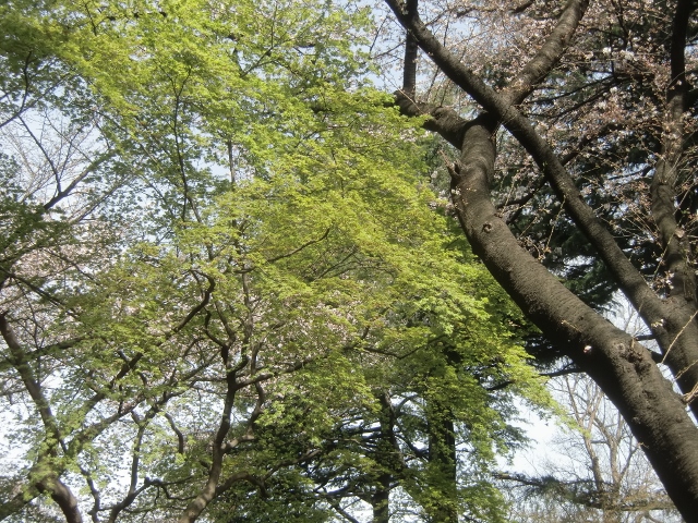 f0231709_0381788.jpg