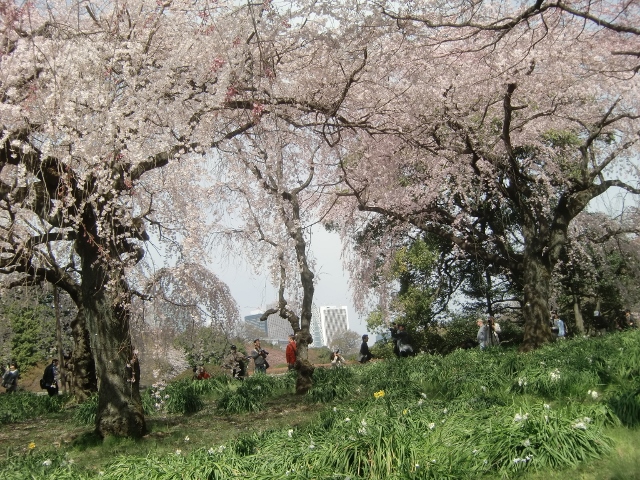 f0231709_10437.jpg