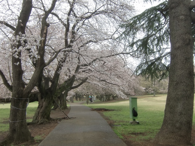 f0231709_20461897.jpg