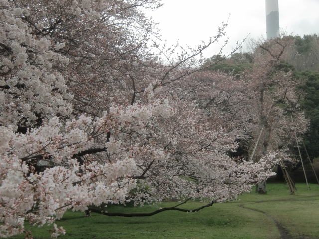 f0231709_20504813.jpg