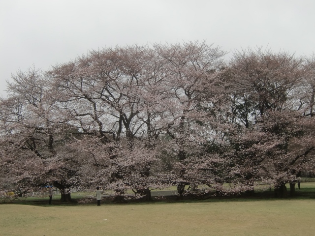 f0231709_2052971.jpg