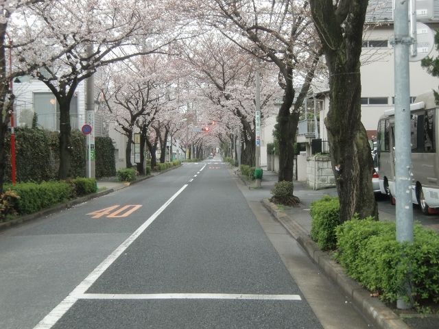 f0231709_20561691.jpg
