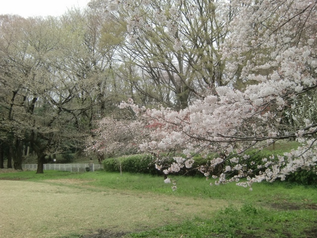f0231709_2235858.jpg