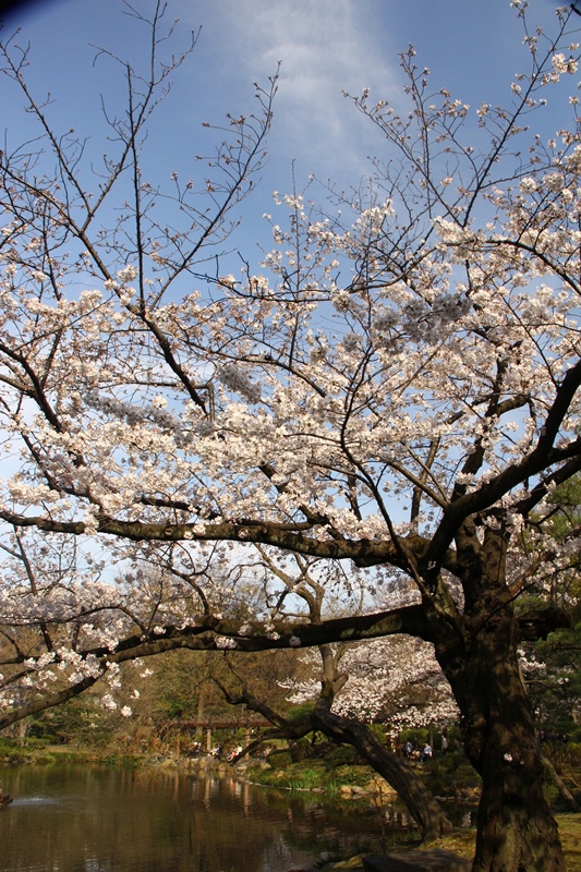 b0207615_21515655.jpg