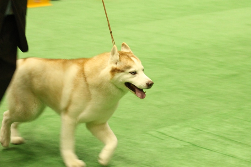 b0207615_21515688.jpg