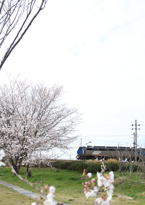 f0211615_18273894.jpg