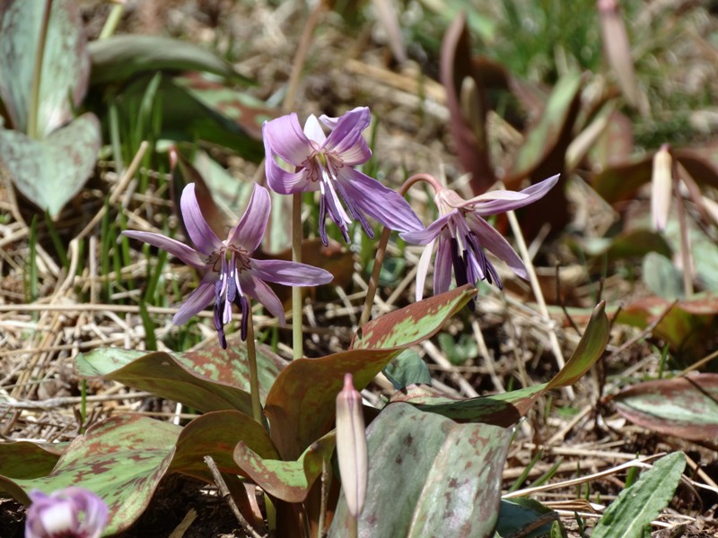 c0042418_1641141.jpg