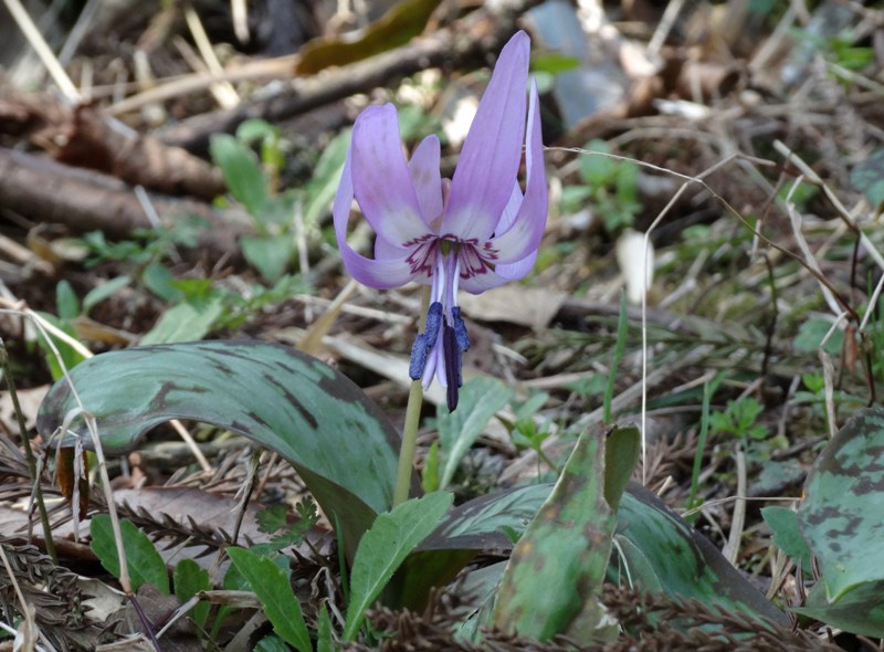 c0042418_164518.jpg