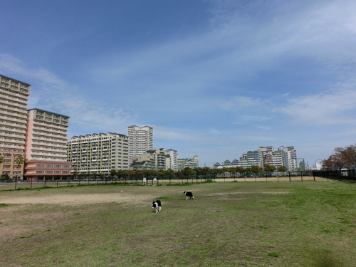 e0179321_6495758.jpg
