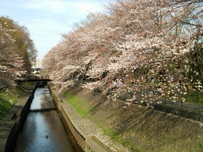 f0106823_2483891.jpg