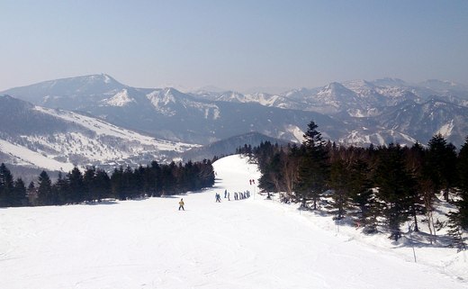 b0001324_16203947.jpg