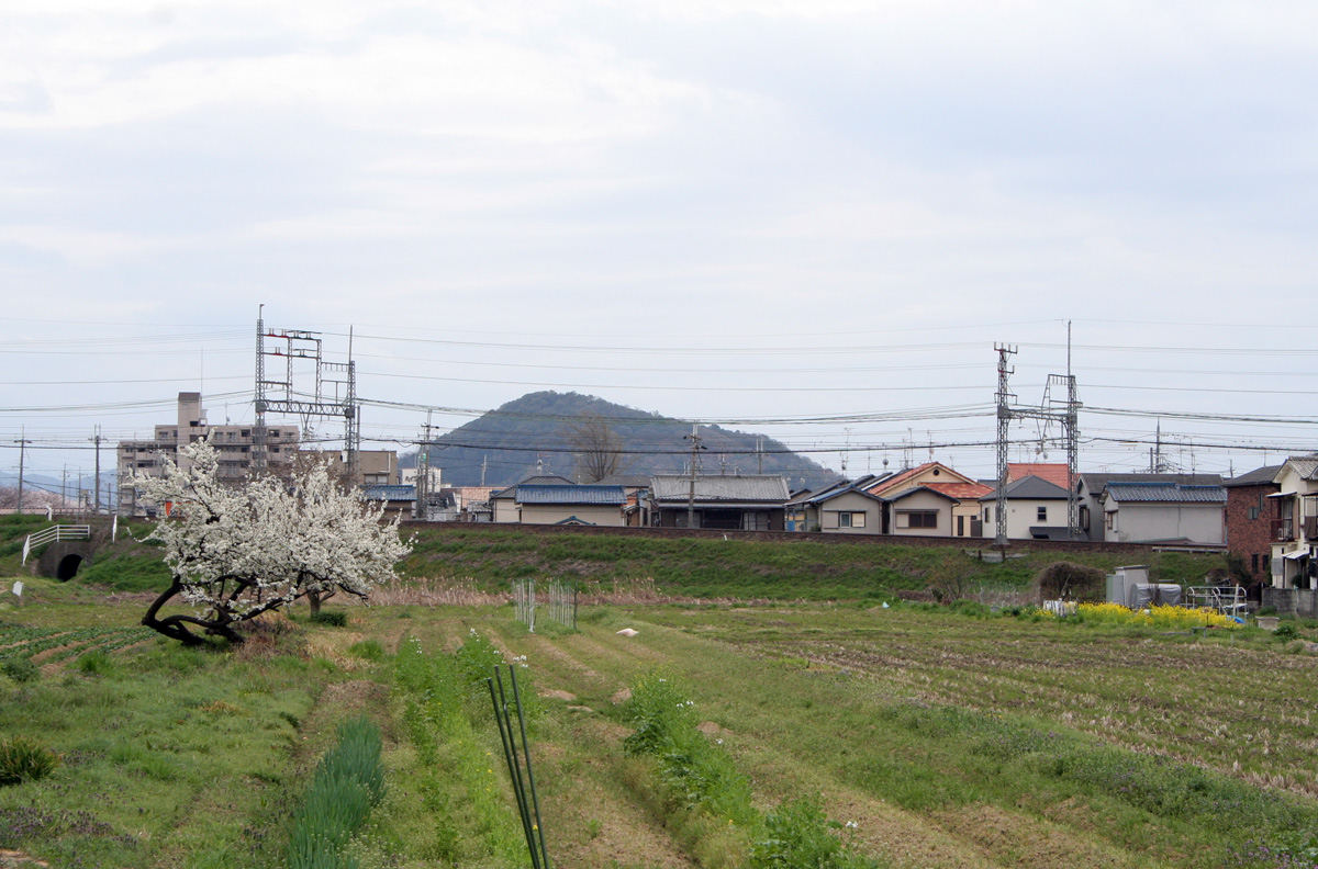 c0073633_21542541.jpg