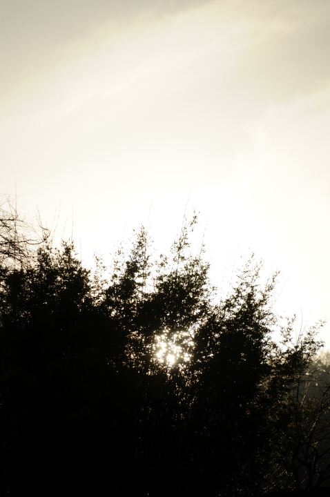 c0133133_23343268.jpg